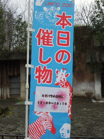 2010_032631　上野動物園0005.JPG